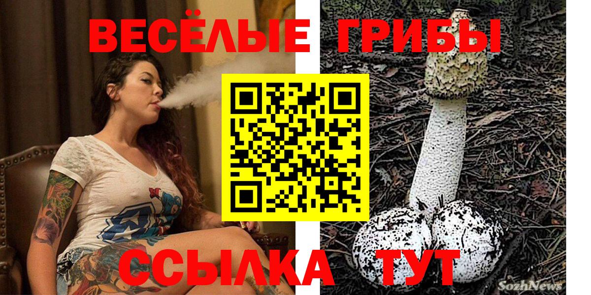 Псилоцибиновые грибы MAGIC MUSHROOMS Бердск