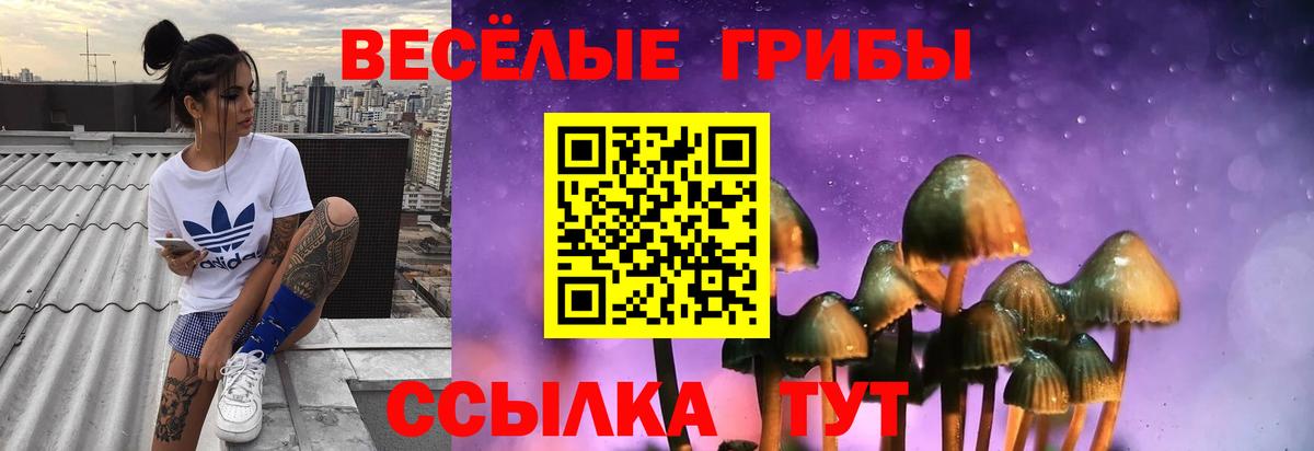 Псилоцибиновые грибы MAGIC MUSHROOMS  Вход с VPN  Бердск  Галлюциногенные грибы мицелий 